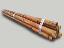 CAÑA DE BAMBU EJEMPLAR-ALT.300 CM. Ø(060/080)mm.