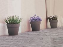 LIRA ELITE COLOR-Ø80 ALT.73 cm 220 LITROS